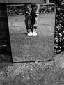 Reflections