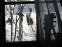 Winter Birds