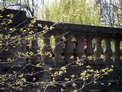 Bridge Kids